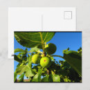 Suche nach feige postkarten Natur