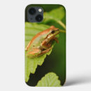 Suche nach frosch ipad hüllen Grün
