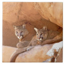Suche nach puma fliesen Natur