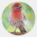 Suche nach fink aufkleber Vogel