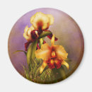 Suche nach orchideen magnete Rot
