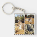 Suche nach kangaroo schlüsselanhänger Tierwelt