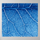 Suche nach venen poster Makro