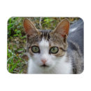 Suche nach tablette magnete Zuhause