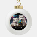 Suche nach samoyed ornamente Besonnen