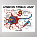 Suche nach nerv poster Medizin