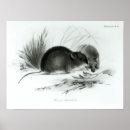 Suche nach 1832 poster Englisch
