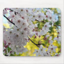 Suche nach kirschblüte baum mousepads Natur