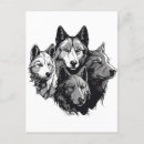 Suche nach wolfsrudel postkarten Wölfe