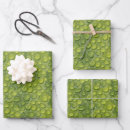 Suche nach wassertropfen geschenkpapier Tröpfchen