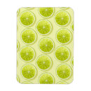 Suche nach limoner magnet magnete Sommer