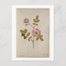 Suche nach stifte postkarten Botanisch