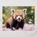 Suche nach glücklicher panda postkarten Lustig