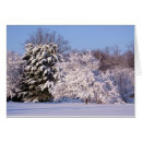 Suche nach schneeszene Natur