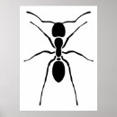 Suche nach schwarze ameise poster Insekt