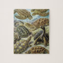 Suche nach reptil puzzle Für ihn
