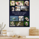 Suche nach zitate über hunde poster Für haustiere