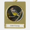Suche nach wildvogel ornamente Vogelvogel