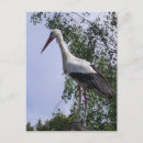 Suche nach storch postkarten Baby