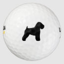 Suche nach wheaten Soft coated wheaten terrier