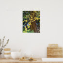 Suche nach fire poster Wald