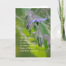 Suche nach begräbnis postkarten Schrift