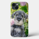 Suche nach standard iphone hüllen Hund