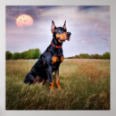 Suche nach pinscher poster Doberin