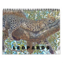 Suche nach leoparden kalender Tierwelt