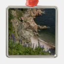 Suche nach malerische ornamente Niemand