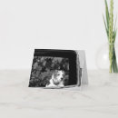 Suche nach kein entschuldigungst kleine grußkarten Hund