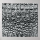 Suche nach rosa schlange poster Material