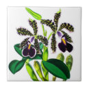 Suche nach orchideen fliesen Botanisch