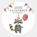 Suche nach waschbär aufkleber Aquarell