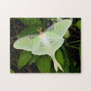 Suche nach motten puzzle Entomologie