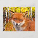 Suche nach fuchs postkarten Gemälde