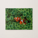 Suche nach meereswelt puzzle Fisch