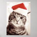 Suche nach hauskatzen poster Spaß