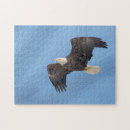 Suche nach amerikanischer adler puzzle Raptor