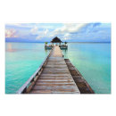 Suche nach serenade poster Blau