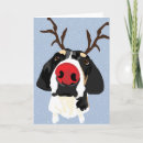 Suche nach jagdhunde karten Coonhound