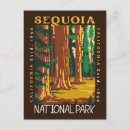 Suche nach sequoia postkarten Kalifornien urlaub
