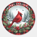 Suche nach kardinal aufkleber Wintervogel