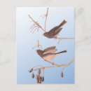 Suche nach wintervögel postkarten Natur