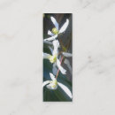 Suche nach clematis visitenkarten Weiß