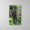 Suche nach schwarzer wolf leinwandbilder Natur