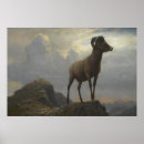 Suche nach albert poster Leinwand