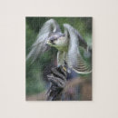 Suche nach falke puzzle Federn