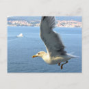 Suche nach luftpost postkarten Reise