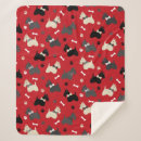 Suche nach hunde decken Haustiere